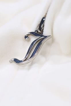 Juicy Couture CREAM CLASSIC VELOUR ROBERTSON HOODIE -Juicy Couture ROBERTSON SUGARSWIZZLE CLOSE UP